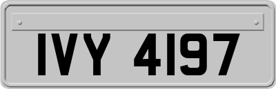 IVY4197