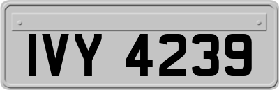 IVY4239