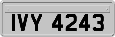 IVY4243