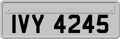 IVY4245