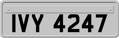 IVY4247