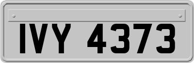 IVY4373