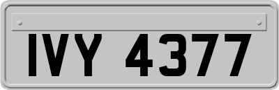 IVY4377