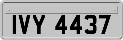 IVY4437