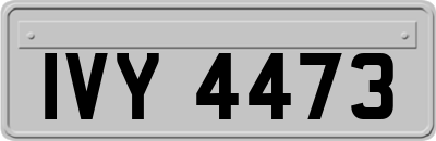 IVY4473