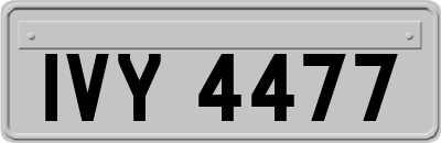IVY4477