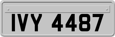 IVY4487