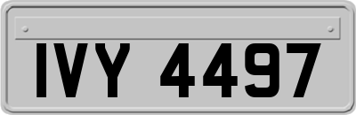 IVY4497