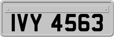 IVY4563