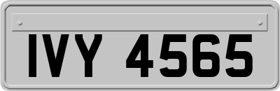 IVY4565