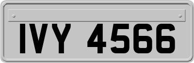 IVY4566
