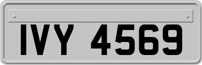 IVY4569