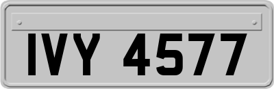 IVY4577