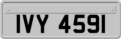 IVY4591