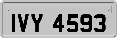 IVY4593