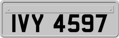 IVY4597