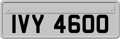 IVY4600