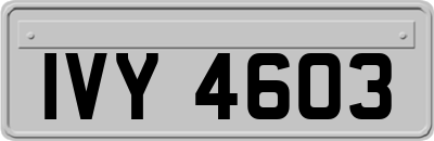 IVY4603