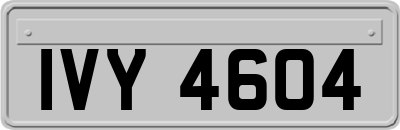 IVY4604