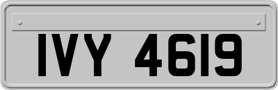 IVY4619