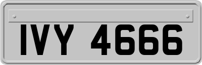 IVY4666