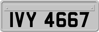 IVY4667