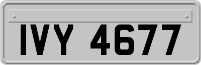 IVY4677