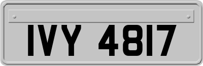 IVY4817