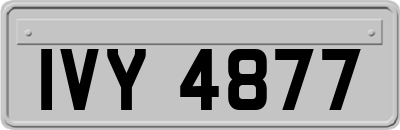 IVY4877
