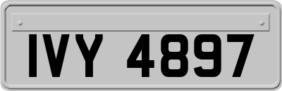 IVY4897