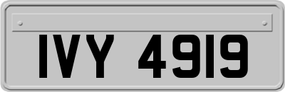 IVY4919