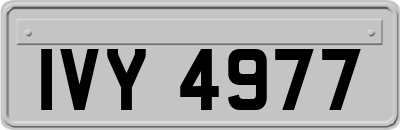 IVY4977