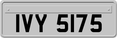 IVY5175