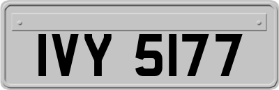IVY5177