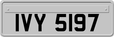 IVY5197