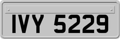 IVY5229