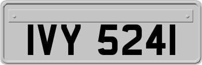 IVY5241