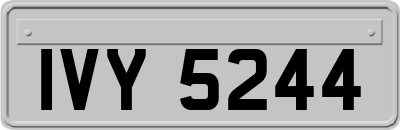 IVY5244