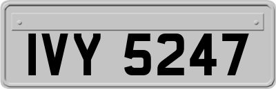 IVY5247