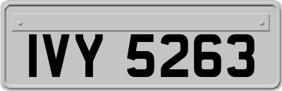 IVY5263