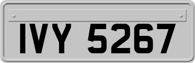 IVY5267