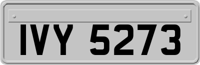 IVY5273