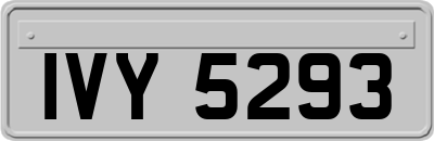 IVY5293