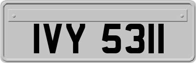 IVY5311