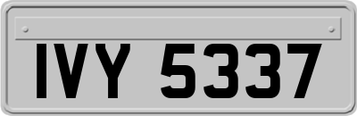 IVY5337