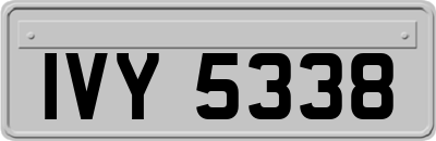 IVY5338