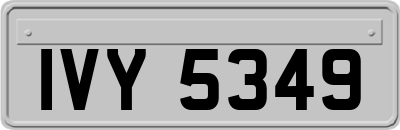 IVY5349