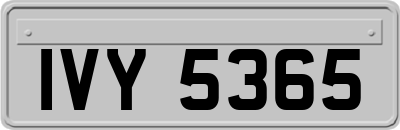 IVY5365