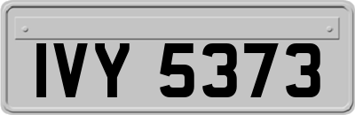 IVY5373
