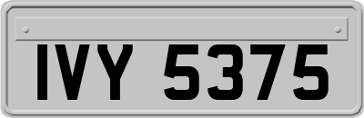 IVY5375